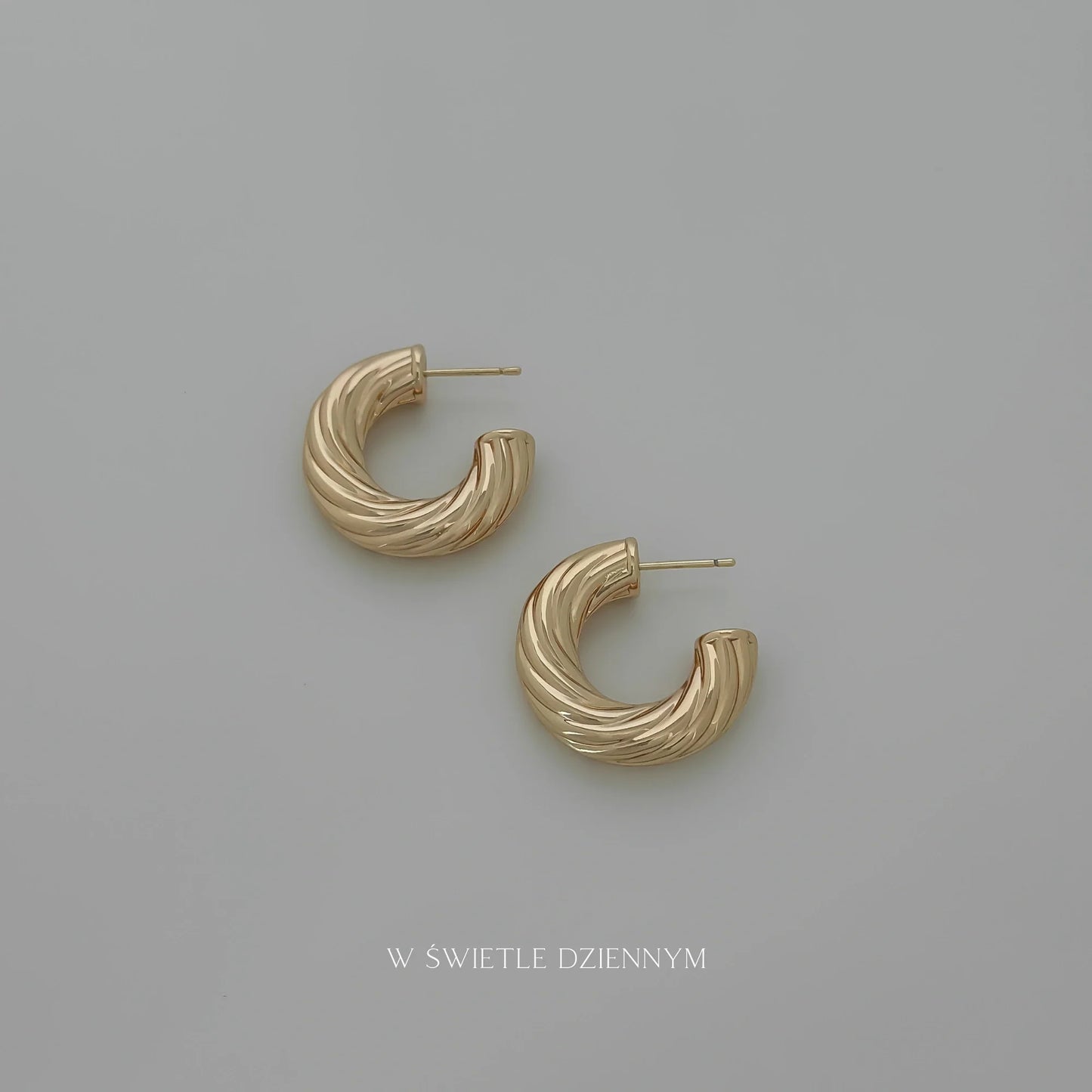 Chubby Twisted Hoops