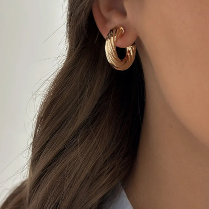 Chubby Twisted Hoops