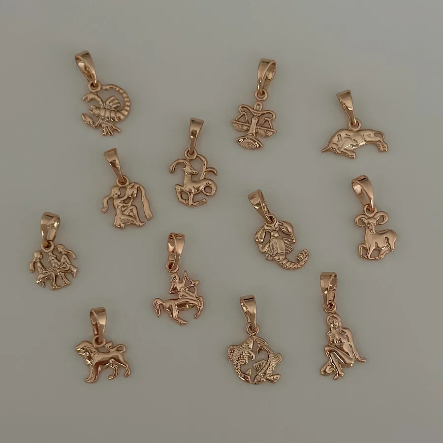 Tiny Zodiac Necklace