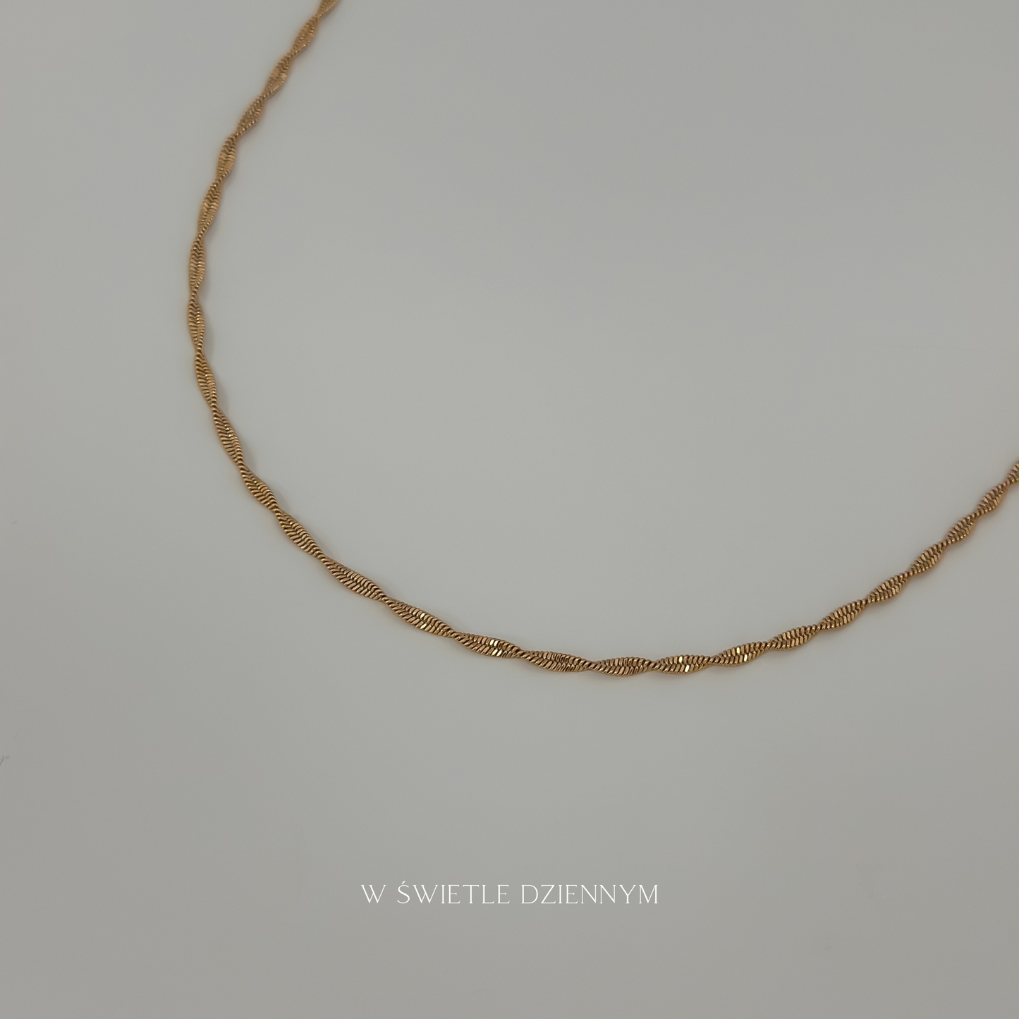 Dainty Twisted Necklace