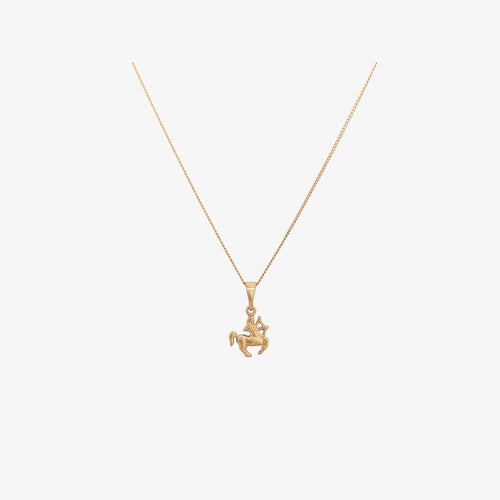 Tiny Zodiac Necklace