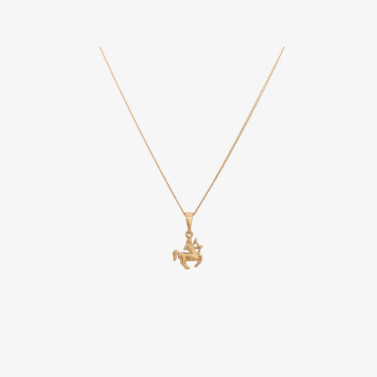 Tiny Zodiac Necklace