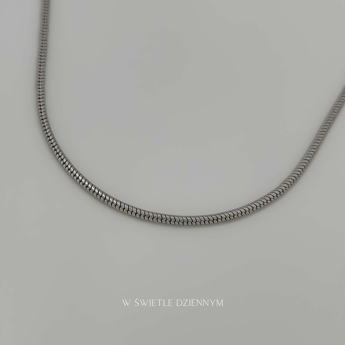 Serpenta Necklace [Silver]